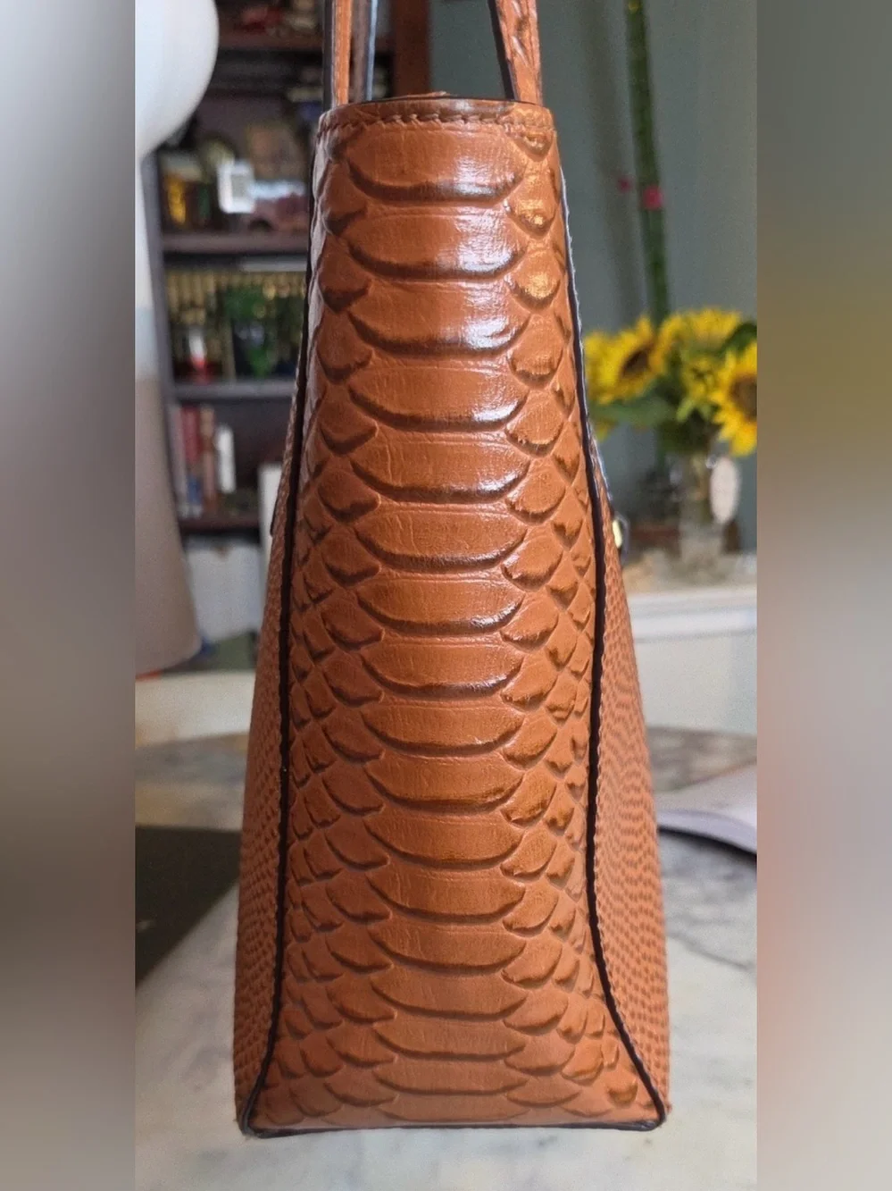 Dooney & Bourke Brown Python-Embossed Leather Tote with Gold Hardware